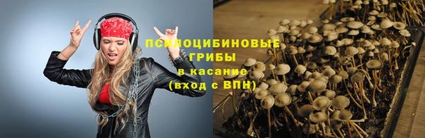 марихуана Абаза